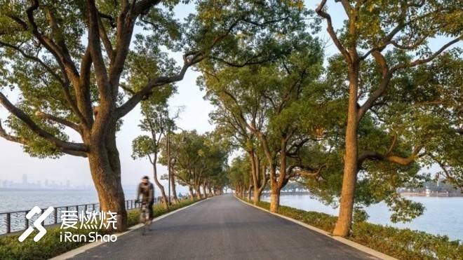 飘落的“三月雪”｜樱花树下绽放——武汉，无锡三马笔记