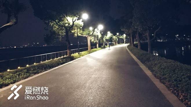 飘落的“三月雪”｜樱花树下绽放——武汉，无锡三马笔记