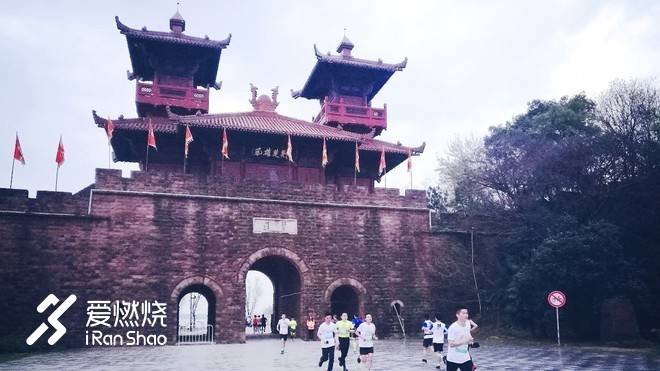 飘落的“三月雪”｜樱花树下绽放——武汉，无锡三马笔记