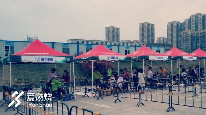 飘落的“三月雪”｜樱花树下绽放——武汉，无锡三马笔记