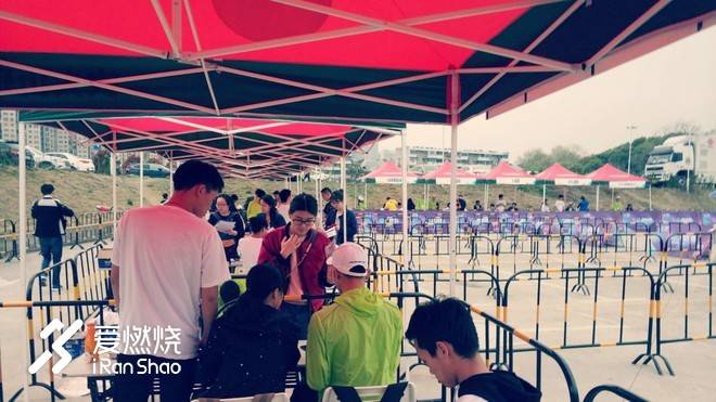 飘落的“三月雪”｜樱花树下绽放——武汉，无锡三马笔记