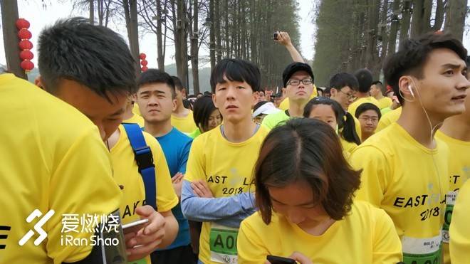 飘落的“三月雪”｜樱花树下绽放——武汉，无锡三马笔记