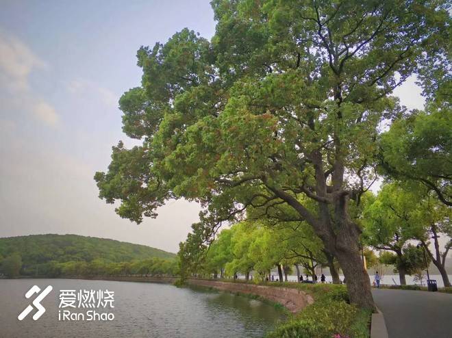 连接百年的奔跑，燃到炸的热血江城 ——FLY IN 大武汉