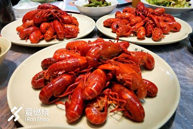 连接百年的奔跑，燃到炸的热血江城 ——FLY IN 大武汉