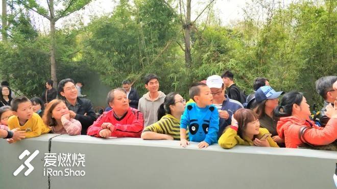 连接百年的奔跑，燃到炸的热血江城 ——FLY IN 大武汉