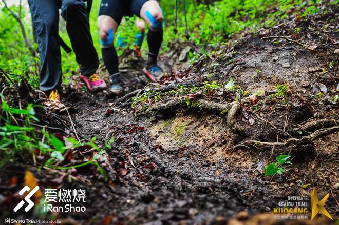 不畏野路，心系柴古。我为什么要去“野”？