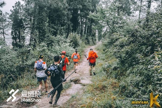不畏野路，心系柴古。我为什么要去“野”？