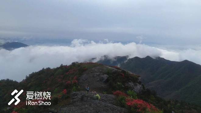 不畏野路，心系柴古。我为什么要去“野”？