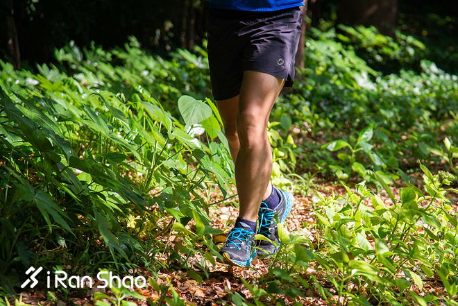 跑鞋 | La Sportiva Lycan评测 路跑与越野兼备的全能跑鞋