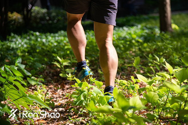 跑鞋 | La Sportiva Lycan评测 路跑与越野兼备的全能跑鞋