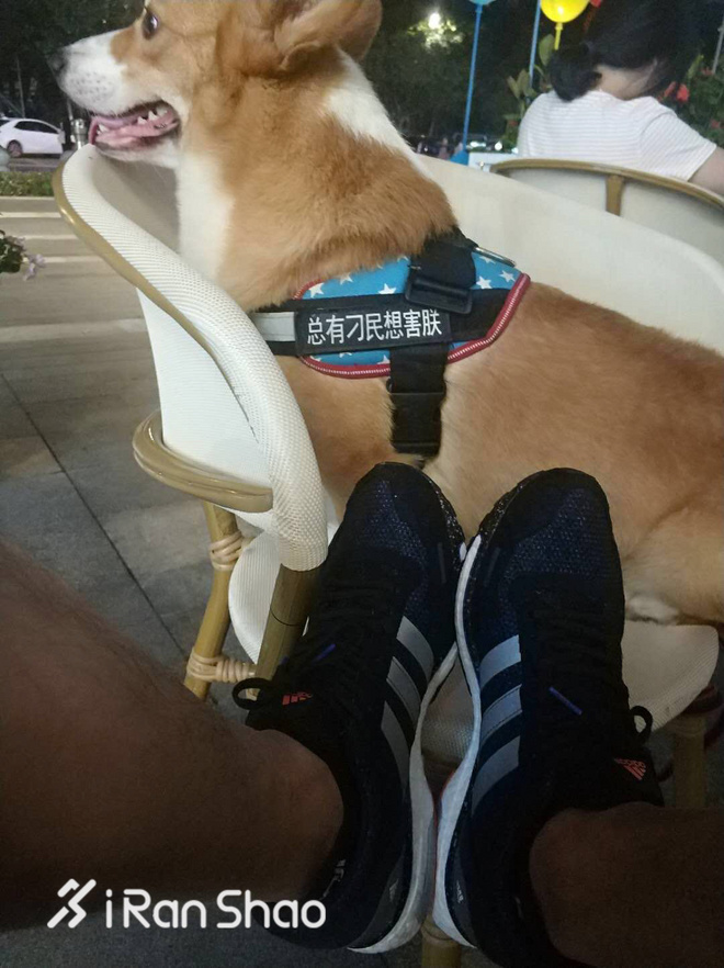 运动尖货 | 一周跑步装备美图集锦 Vol.38