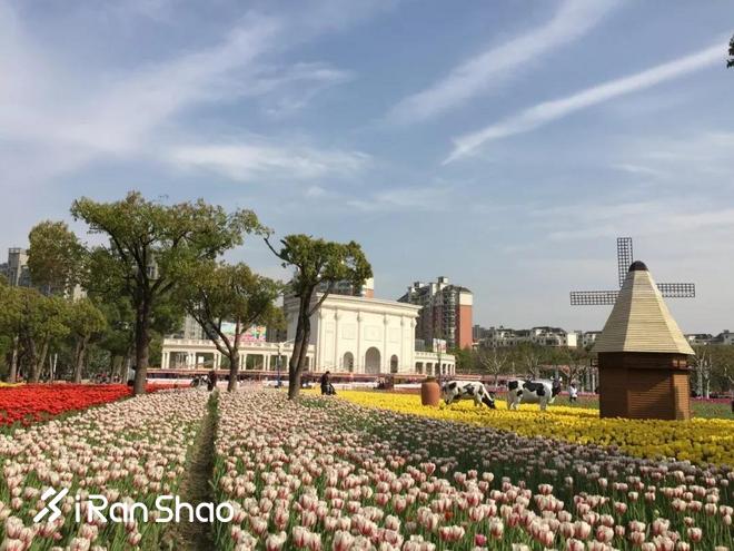 成长保“亲子瑜伽大派对”落户魔都！