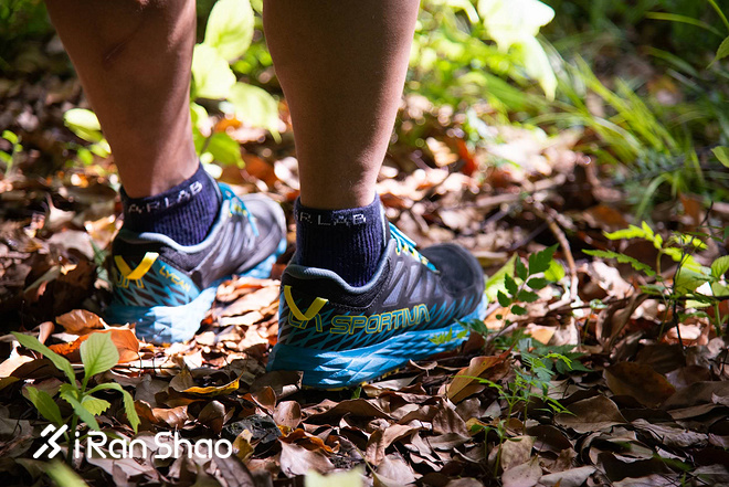 跑鞋 | La Sportiva Lycan评测 路跑与越野兼备的全能跑鞋