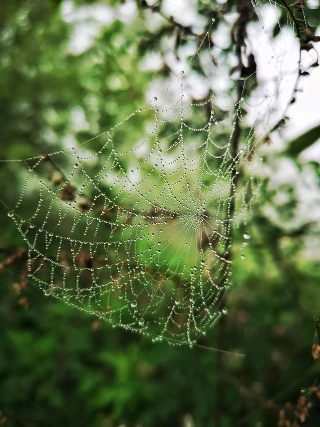 给自己一场热爱，奔赴山野-秦岭虐练赛记