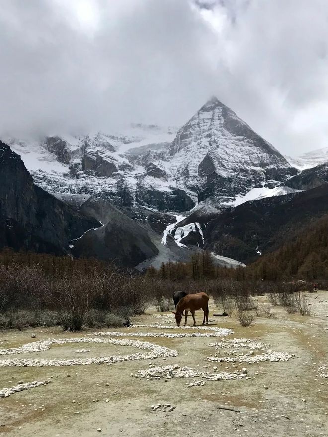 飙山 ，狂飙一颗脆弱的小心脏