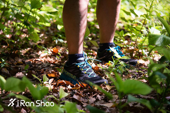 跑鞋 | La Sportiva Lycan评测 路跑与越野兼备的全能跑鞋