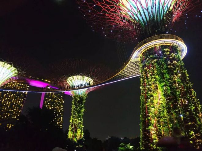 十年之约，归来仍是少年——Run Your Singapore