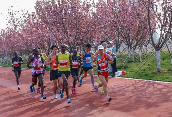 好城市，怎样都要住下来！“荣马”直播引发海内外情感共鸣