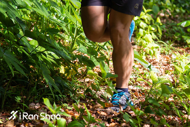 跑鞋 | La Sportiva Lycan评测 路跑与越野兼备的全能跑鞋