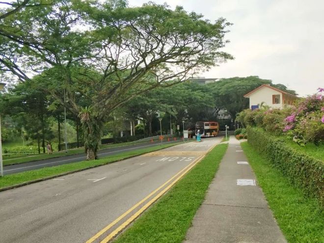 十年之约，归来仍是少年——Run Your Singapore