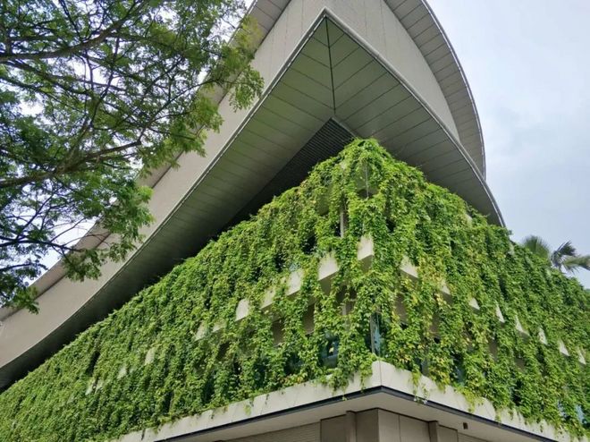 十年之约，归来仍是少年——Run Your Singapore