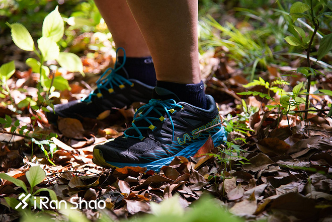 跑鞋 | La Sportiva Lycan评测 路跑与越野兼备的全能跑鞋
