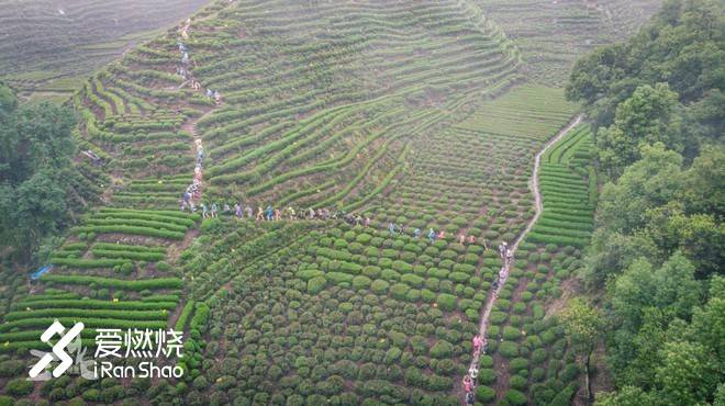 翻山越岭，只为见你           --2018拉拉穆里赛记