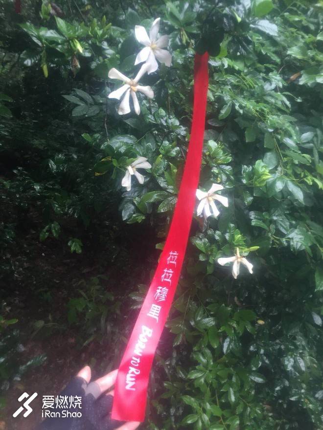 翻山越岭，只为见你           --2018拉拉穆里赛记