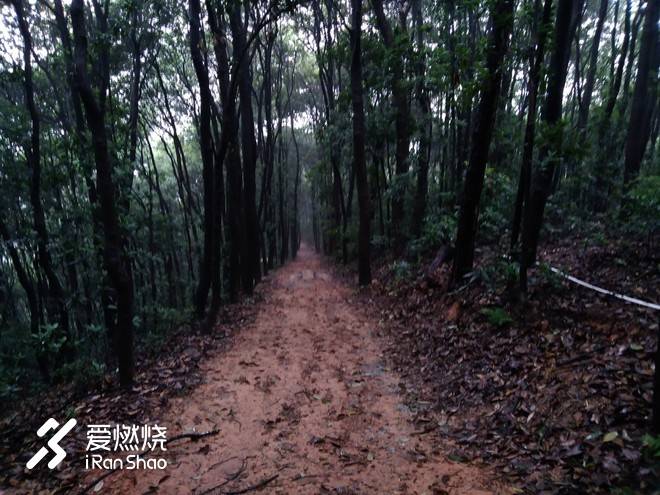 借我执拗如少年——記2018拉拉穆里杭州西湖越野賽