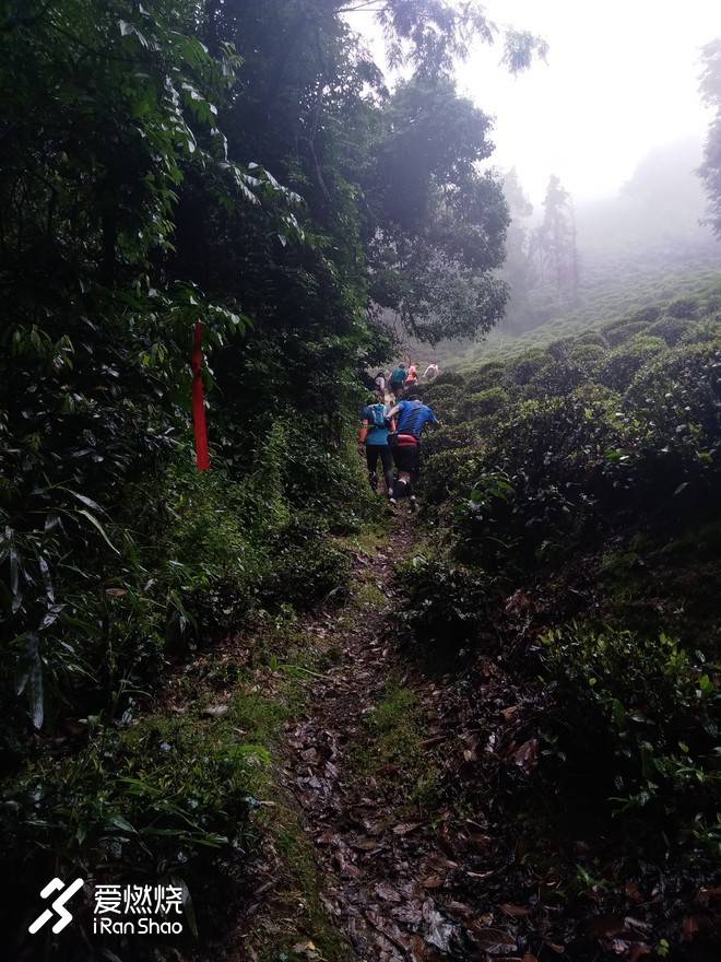 借我执拗如少年——記2018拉拉穆里杭州西湖越野賽