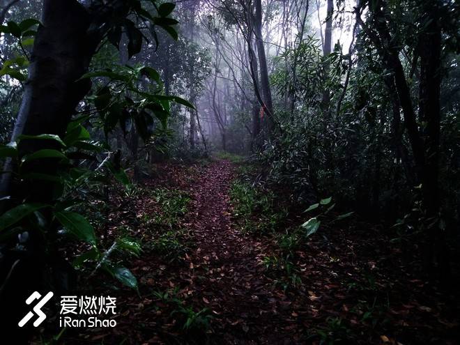 借我执拗如少年——記2018拉拉穆里杭州西湖越野賽