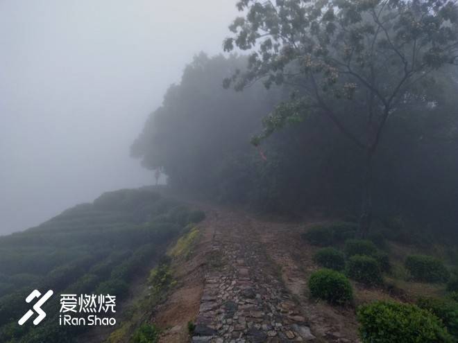 借我执拗如少年——記2018拉拉穆里杭州西湖越野賽