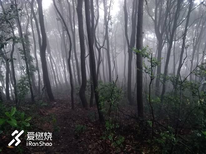 借我执拗如少年——記2018拉拉穆里杭州西湖越野賽