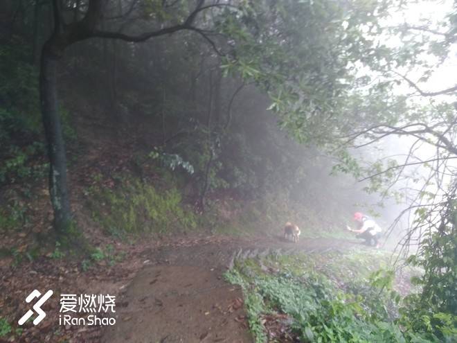 借我执拗如少年——記2018拉拉穆里杭州西湖越野賽