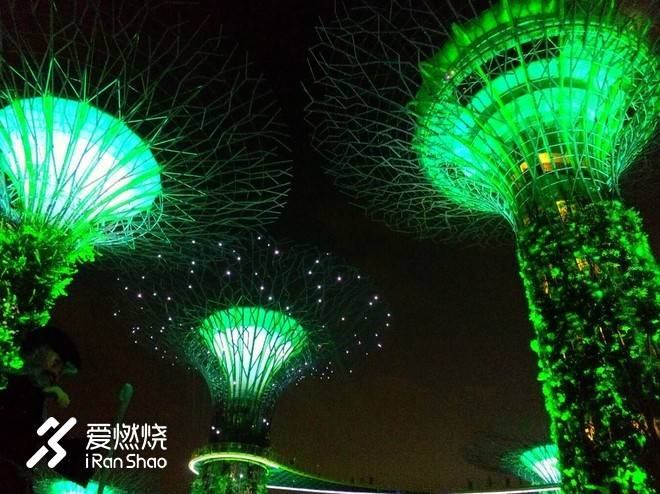 十年之约，归来仍是少年——Run Your Singapore