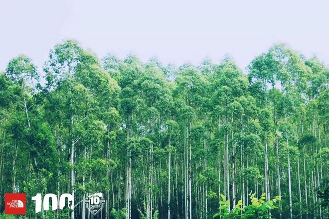 赛讯 | TNF100成都：烟火燃烧，让你不忍离去