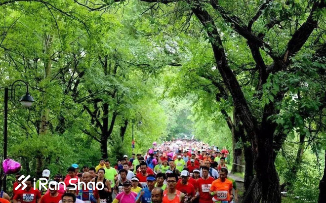 赛道速读 | 山地马拉松全国开花 运艳桥三连冠 梁晶背靠背双亚军