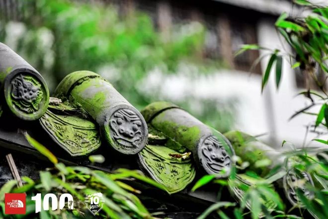 赛讯 | TNF100成都：烟火燃烧，让你不忍离去