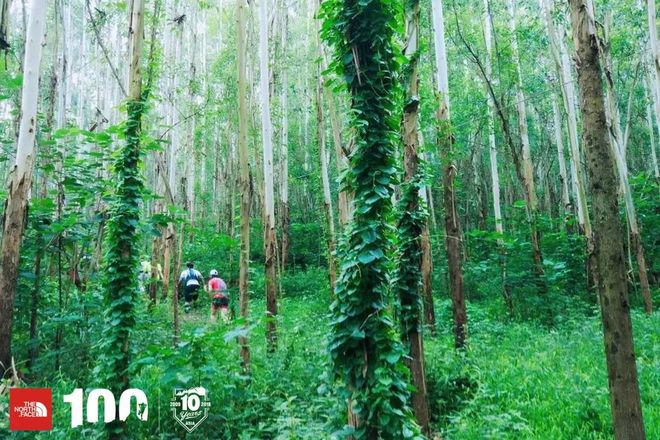 赛讯 | TNF100成都：烟火燃烧，让你不忍离去