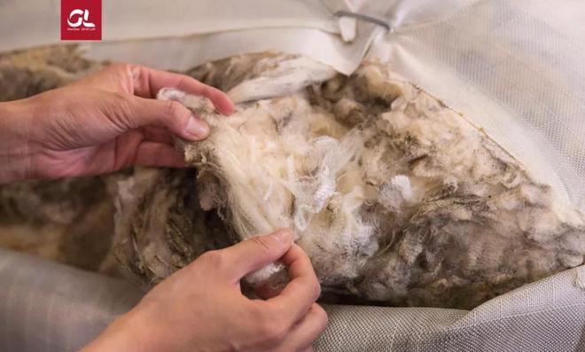 纯净山河 | 我们在行动，期待你的加入