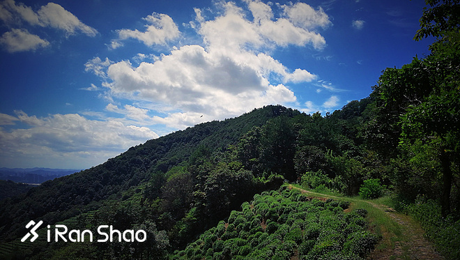 早鸟优惠，独揽江南秀野 | 跑神中国•2018西湖群山越野赛