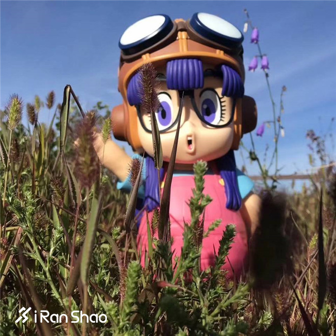 人物丨向付召：不是在比赛就是在去比赛的路上