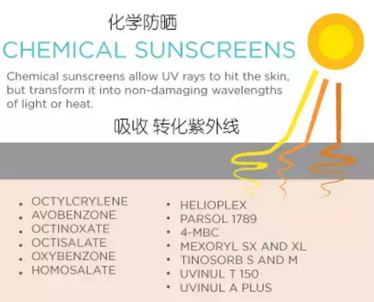 热点 | 看看这些女星的防晒装备，夏季黑练自救指南