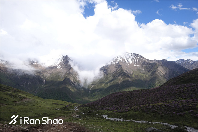 跑鞋丨翻山越海 没有极限 Altra Olympus 3.0深度评测