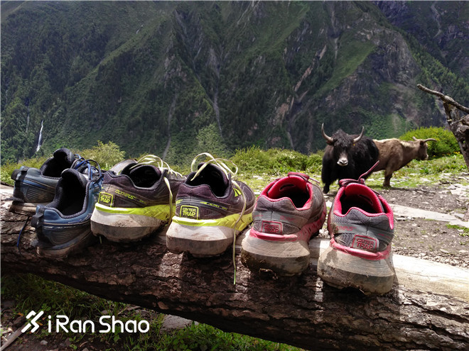 跑鞋丨翻山越海 没有极限 Altra Olympus 3.0深度评测