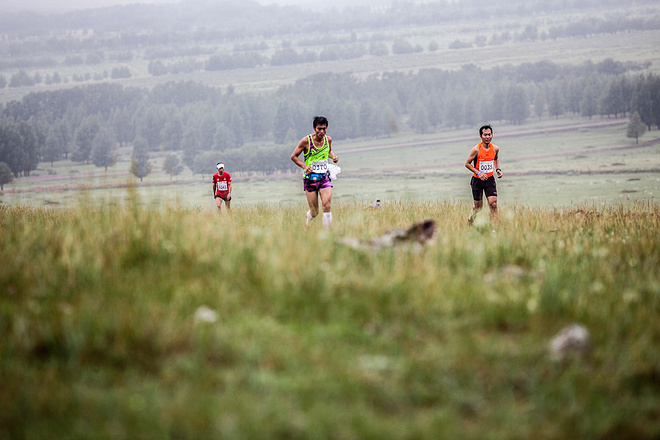 我想给你一个去草原的理由