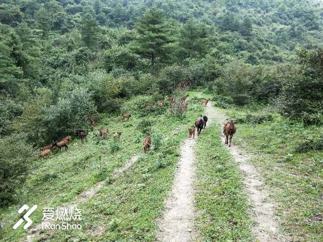 美好和奖赏，在路上 ——记曾家山越野赛