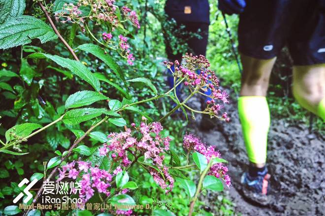 美好和奖赏，在路上 ——记曾家山越野赛