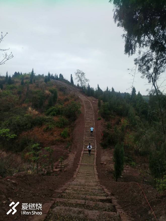 《神奇四瘸》 ：乌合之众，天感地动