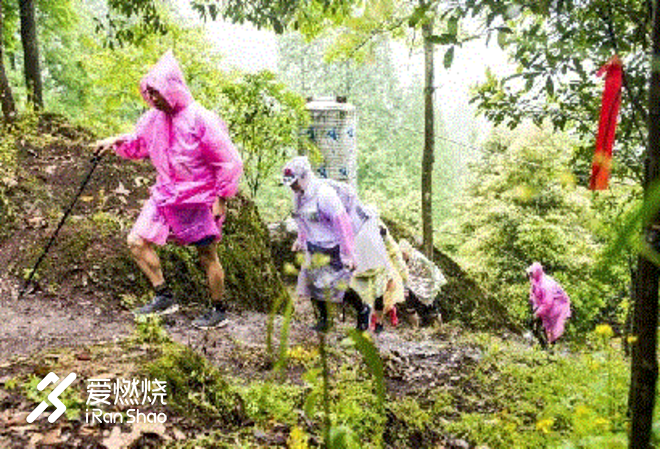 《神奇四瘸》 ：乌合之众，天感地动